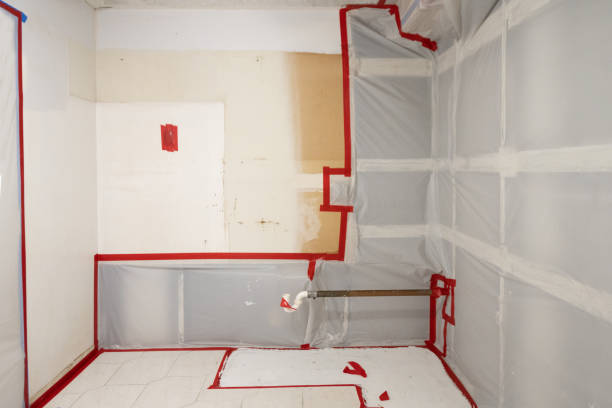 Best Environmental Consulting for Mold Prevention  in Citrus Park, AZ