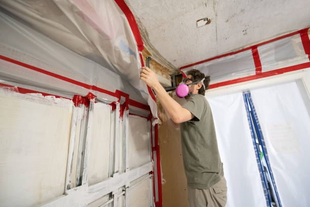 Best Real Estate Mold Inspection  in Citrus Park, AZ