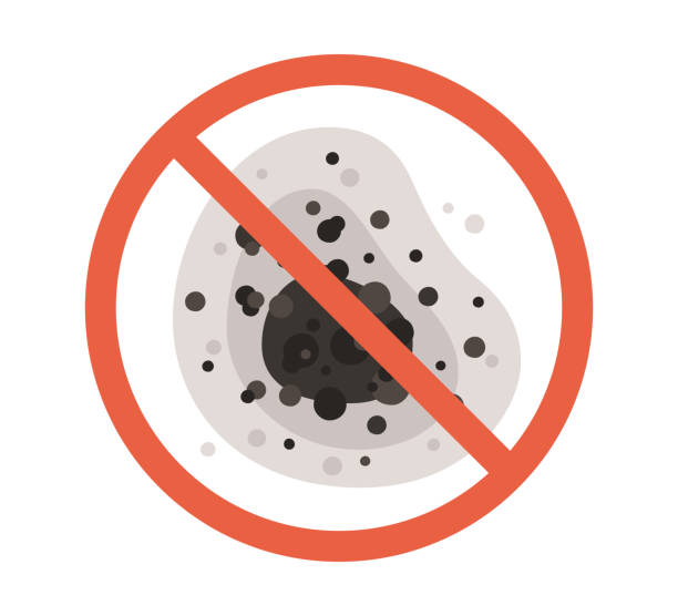 Best Mold Documentation for Insurance Claims  in Citrus Park, AZ