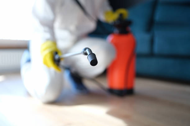Best Mold Prevention Services  in Citrus Park, AZ