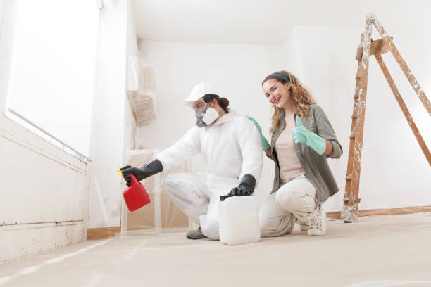 Best Post-Construction Mold Inspection  in Citrus Park, AZ